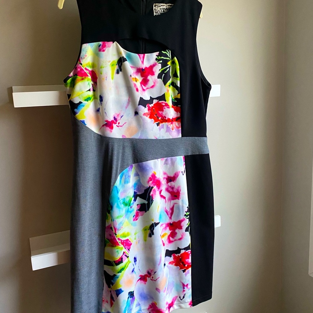 Pink Martini dress EUC L